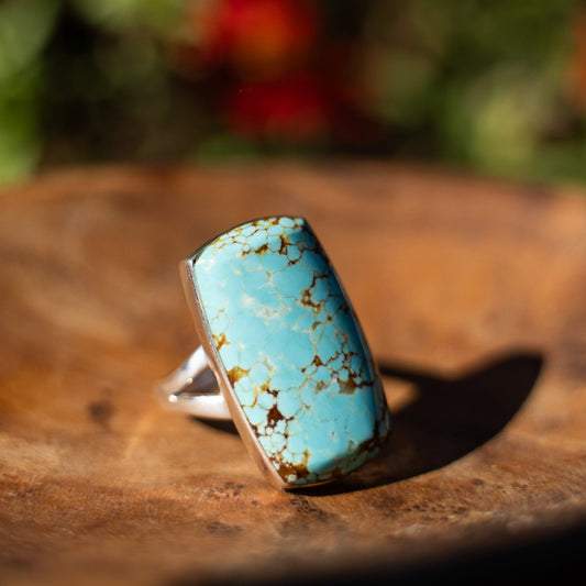 Cathy Webster 8 Mine Turquoise Sterling Silver Rectangle Ring Size 6 1/2 - Echo Canyon Collective